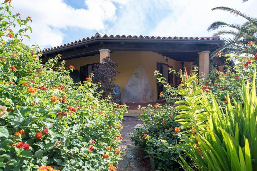 Residence Villa Smeralda Telti Экстерьер фото
